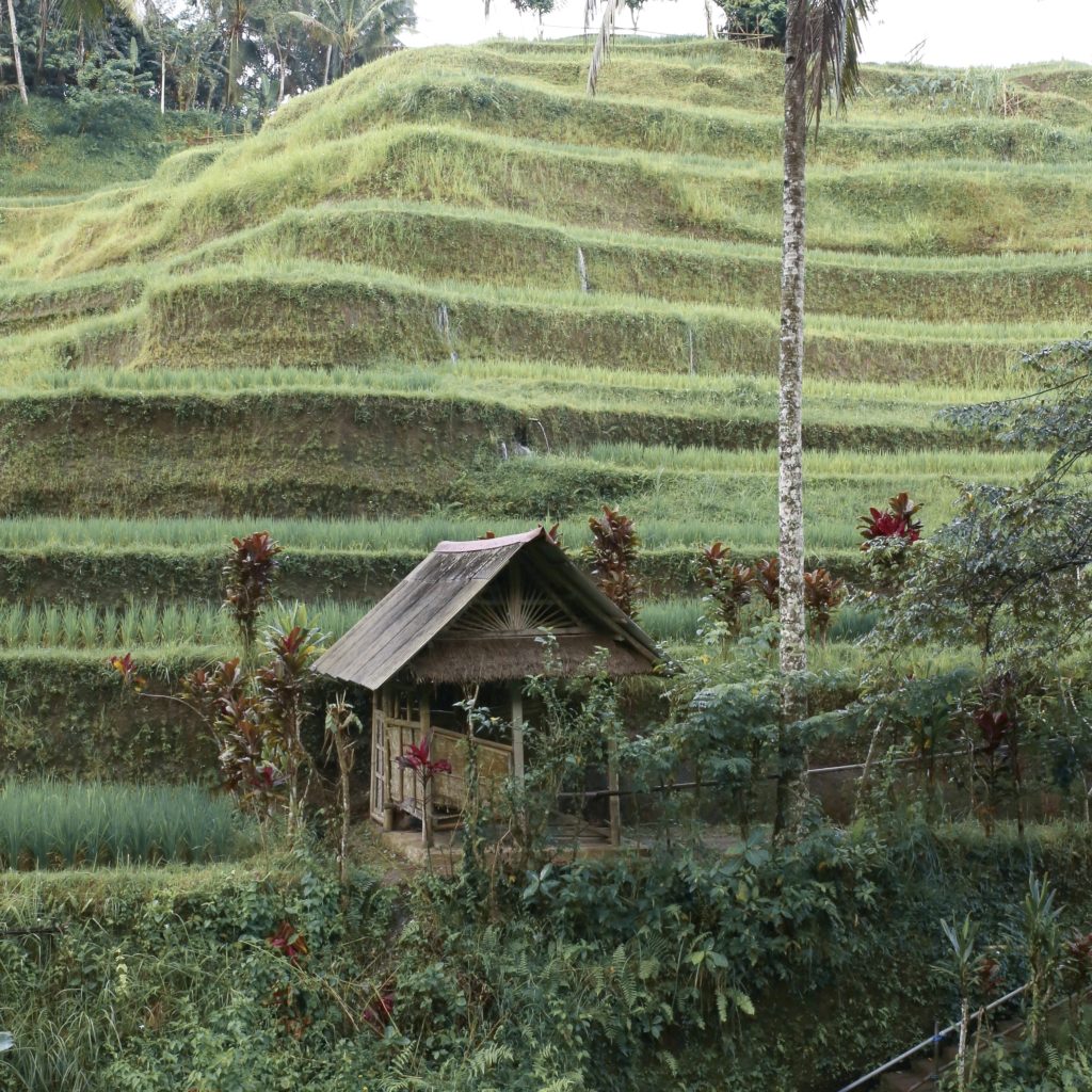 This Country Is About to Become the Next Bali - Featured Image